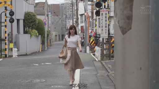 全身 · 棕色长裙 · 街道