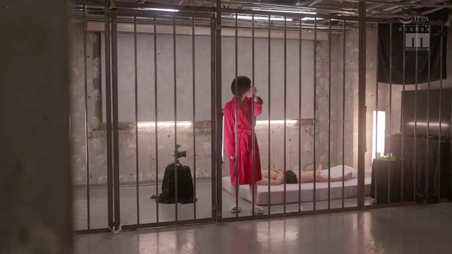 角色扮演 · 站立 · 摄像机 · 场景全景 · 监禁 · 冷漠 · 红色浴袍 · 铁笼囚室