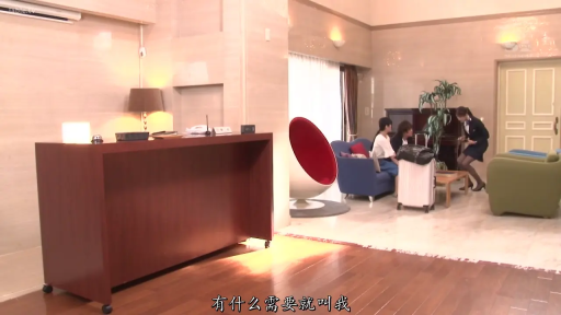 行李箱 · 职业装 · 远景 · 中文字幕 · 行走 · 平淡 · 服务 · 酒店大厅