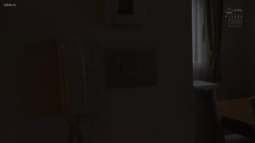 电话机 · 暗い室内 · 不明确 · 画面极暗