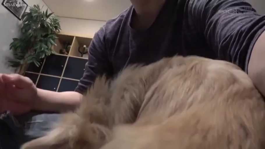 坐姿 · 自然 · 客厅 · 休闲装 · 手部 · 抚摸 · 日常 · 狗