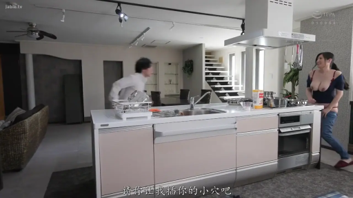 站立 · 字幕 · 全景 · 微笑 · 厨房 · 互动 · 露乳上衣 · 厨具