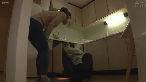 集中 · 全景 · 腰を曲げる · 居家 · キッチン · 长袖 · 橱柜 · 修理