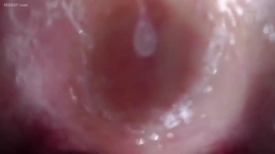 室内 · 全裸 · 性行为 · 私处特写 · 内部视角