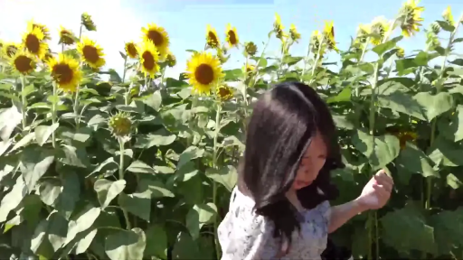 低头沉思 · 自然风光 · 户外散步 · 半身中景 · 白色碎花裙 · 向日葵 · 侧身行走 · 向日葵田