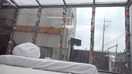 远景 · 白色床铺 · 露天视野 · 透明玻璃房