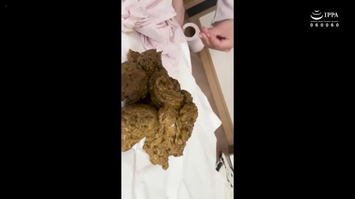 室内 · 全裸 · 蹲姿 · 卫生纸 · 排泄 · 嗜粪癖 · 粪便特写