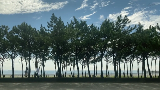 远景 · 休闲服饰 · 海滨