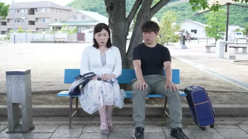 坐姿 · 严肃 · 行李箱 · 中景 · 熟女 · 公园 · 碎花裙 · 坐着