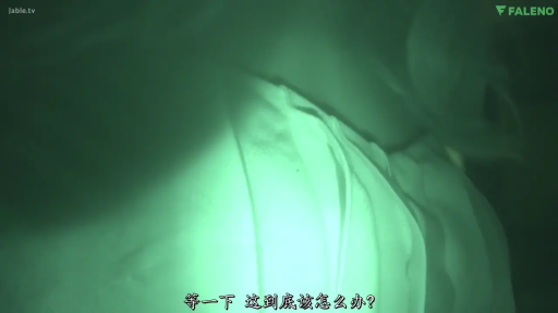 室内 · 白色上衣 · 手机 · 躯干特写 · 侧卧 · 拿手机 · 夜视效果