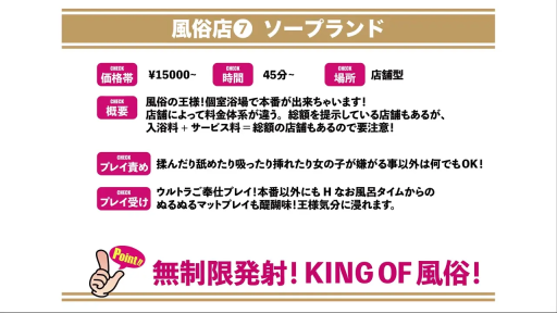 全景 · 宣传海报 · 信息介绍 · 日文价目表