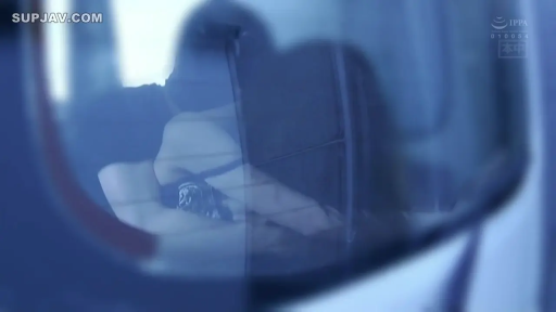 坐姿 · 遮挡 · 远景 · 车内 · 汽车 · 车震 · 模糊服饰