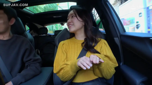 坐姿 · 交谈 · 中景 · 微笑 · 安全带 · 黄色针织衫 · 汽车内