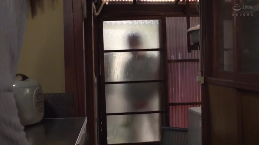 远景 · 不明 · 民宅走廊 · 门后站立 · 徘徊偷窥 · 电饭煲及磨砂门 · 剪影投影