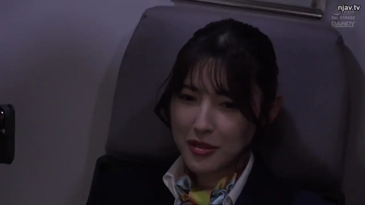 坐姿 · 微笑 · 凝视 · 熟女 · 头部特写 · 座椅 · 空姐制服 · 机舱