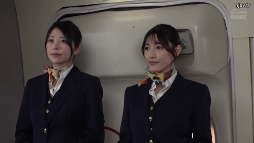 站立 · 微笑 · 制服 · 职业 · 丝巾 · 待命 · 机舱