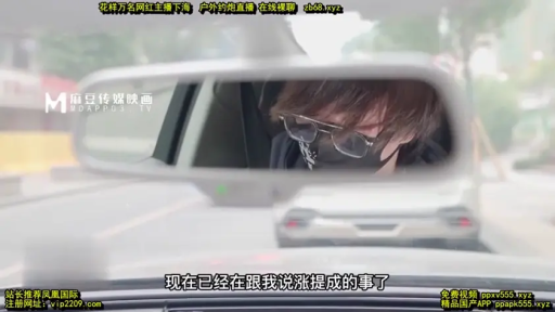 坐姿 · 眼镜 · 中文字幕 · 注视 · 车内 · 沉稳 · 黑色上衣 · 后视镜特写