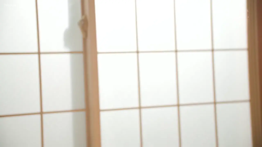 室内 · 障子门 · 模糊 · 背景