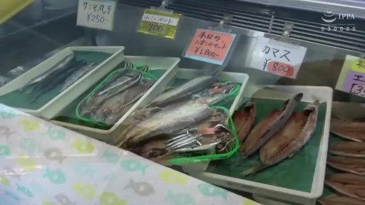 視頻截圖 · 陈列 · 价格标签 · 鱼市 · 鲜鱼