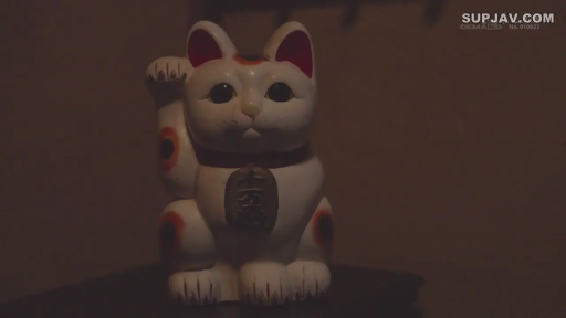 Indoor · Sitting Posture · 暗光 · 招财猫 · 物体特写