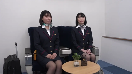 坐姿 · 行李箱 · 中景 · 双人 · 看镜头 · 标准微笑 · 空姐制服 · 模拟机舱