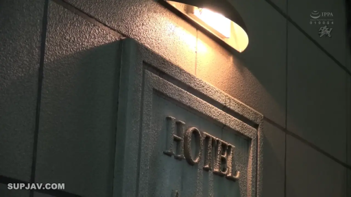 夜晚 · 招牌特写 · 酒店外 · 酒店招牌