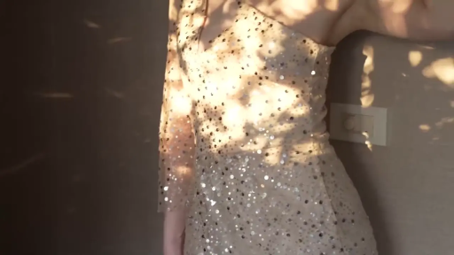 室内 · 展示 · 躯干 · 靠墙站立 · 光影效果 · 亮片礼服