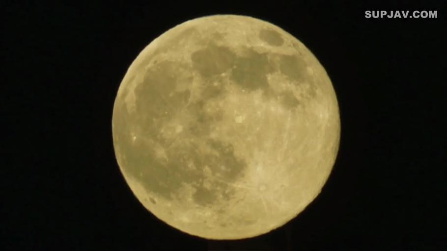 夜空 · 月亮特写 · 满月