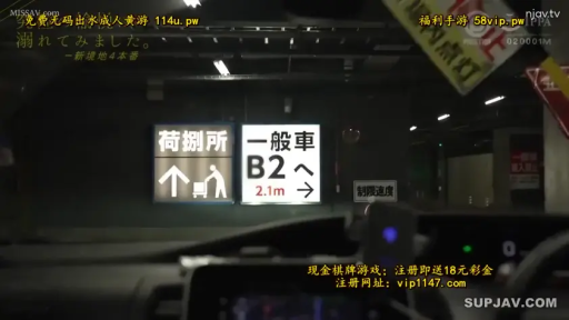 POV · 汽车 · 停车场 · 驾驶