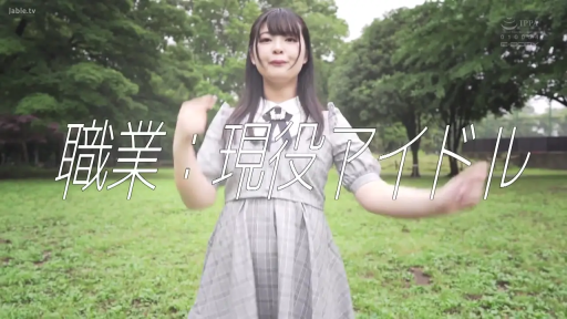 字幕 · 站姿 · 微笑 · 否 · 户外公园 · 灰色格子连衣裙 · 摆动手臂