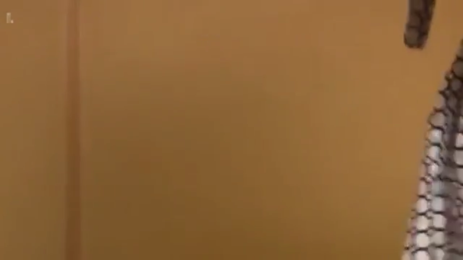 室内 · 面部 · 俯身 · 第一视角 · 白衬衫 · 手淫 · 咬唇