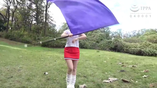 全身 · 专注 · 站立 · 白色POLO衫 · 日光 · 户外草坪 · 挥动旗帜 · 紫色大旗