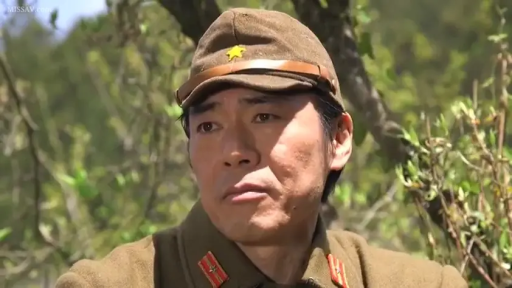 严肃 · 角色扮演 · 站立 · 面部特写 · 注视 · 军帽 · 林地 · 旧日本军装