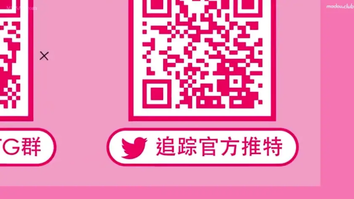 二维码 · 二维码特写 · 平面背景