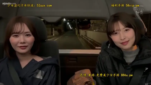 坐姿 · 微笑 · 面对镜头 · 半身 · 车内 · 外套 · 汽车座椅 · 夜晚