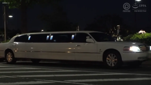 全景 · 静止 · 不适用 · 外景 · 夜晚街道 · 停靠 · 加长礼车