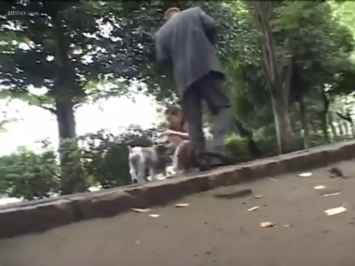 远景 · 行走 · 公园 · 灰色西装 · 模糊 · 低画质 · 狗绳 · 遛狗