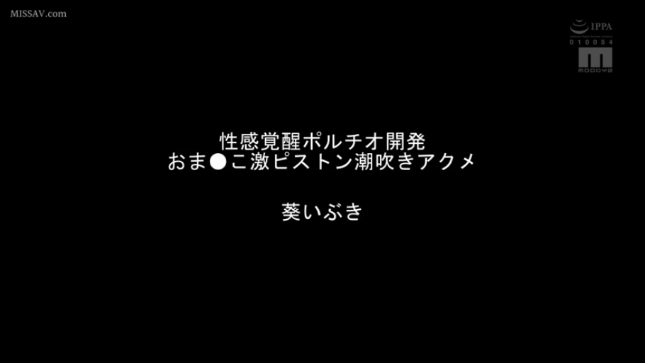 多人性爱 · 和室 · 并排坐 · 群交 · 和服 · 笑容 · 欧派