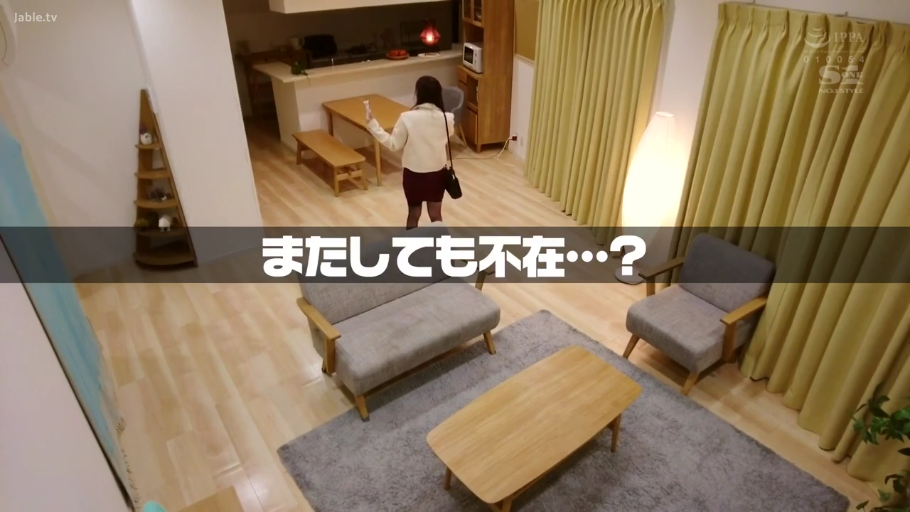 客廳 · 職業裝 · 遠景