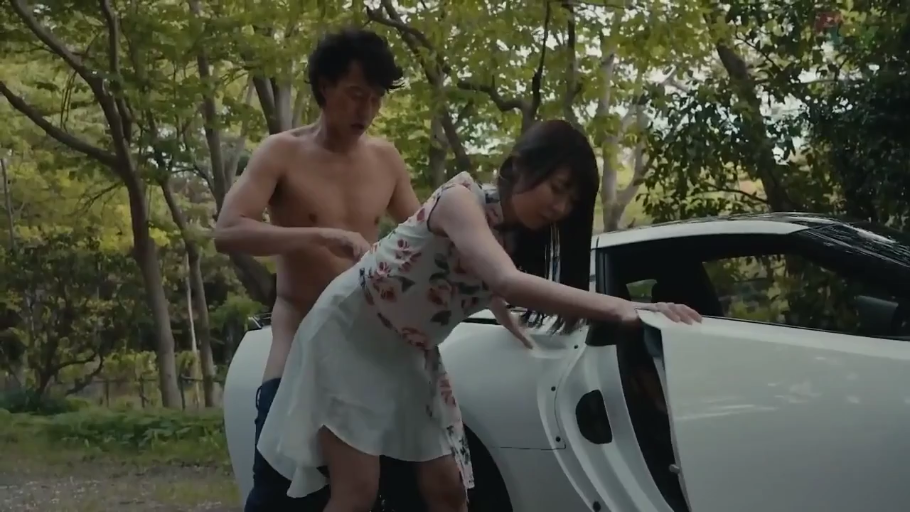 投入 · 性行為 · 后入式 · 中景 · 屋外 · ワンピース · 野戦 · 轿车