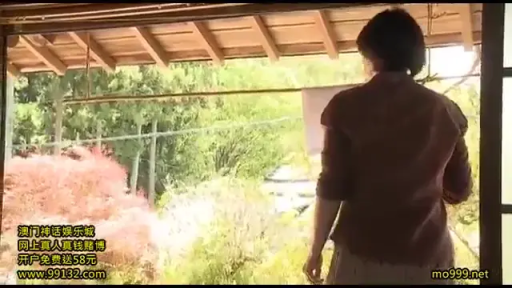 全景 · シャツ · 和室走廊