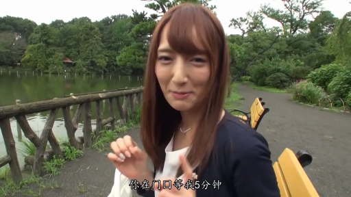 半身特写 · 职业套装 · 站立姿势 · 带中文字幕 · 交流谈话 · 公园长椅 · 温婉微笑 · 公园湖畔