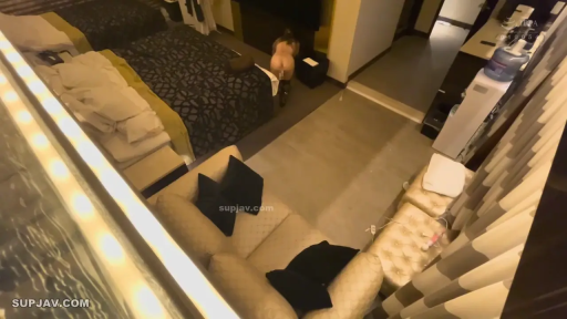 性交 · 全裸 · 床 · 酒店房间 · 跪趴 · 远景 · 监控视角