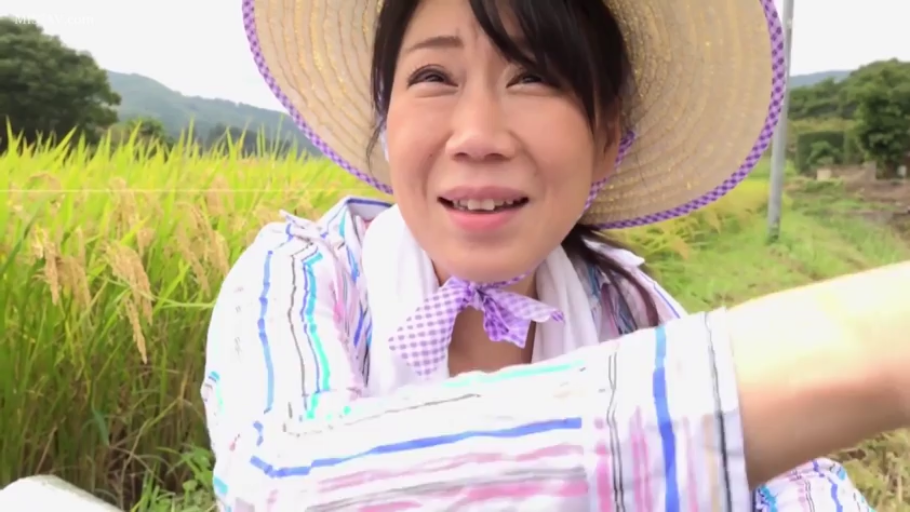 坐姿 · 中景 · 条纹衫 · 稻田