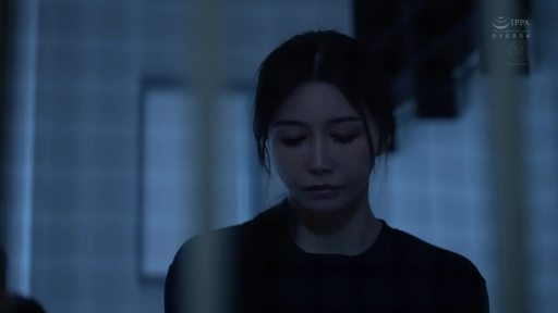 室内 · 骑乘位 · 性交 · 投入 · 否 · 昏暗 · 领结