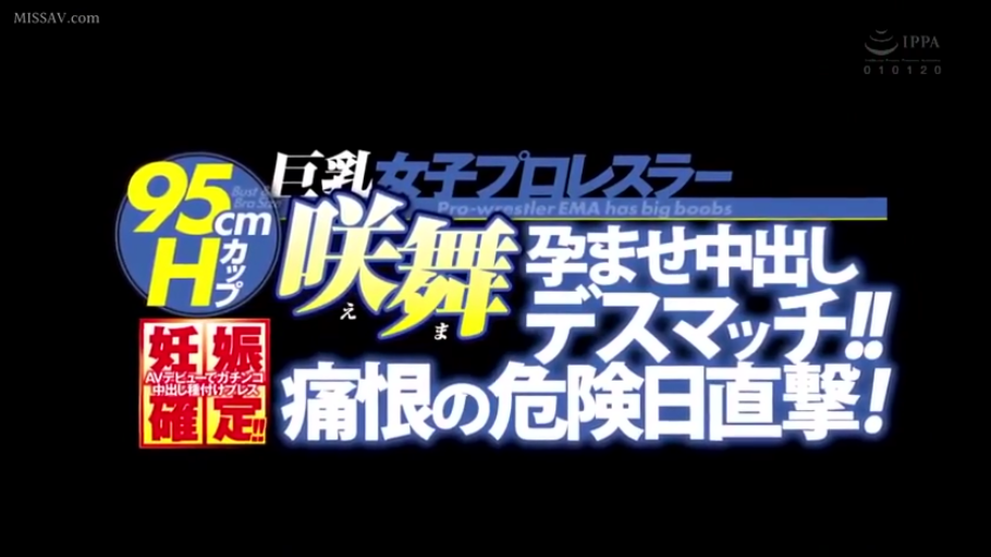 No · 文本 · 纯色背景 · 标题封面