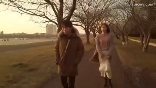 平静 · 手提包 · 行走 · 户外 · 散步 · 羽绒服 · 黄昏