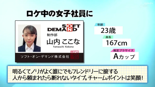 面部 · 职业装 · 正面 · 影棚 · 职业微笑 · 拍照 · ID卡 · 属性介绍