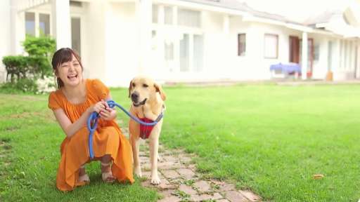 全身 · 蹲姿 · 大笑 · 草地 · 橙色连衣裙 · 牵狗 · 狗绳 · 宠物