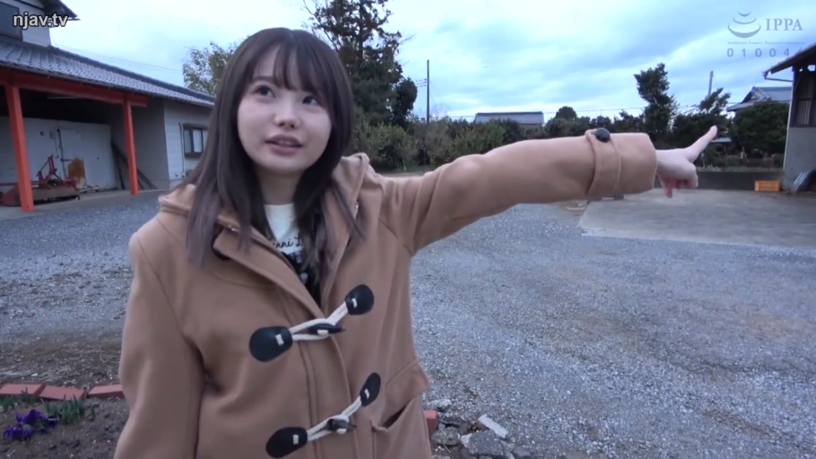 中景 · 户外 · 指向 · 棕色牛角扣外套